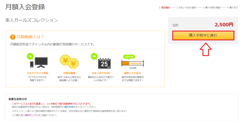 FANZA月額動画申し込み手順2